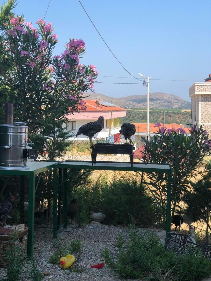 Gökçeada Uğurlu Apart Exterior foto